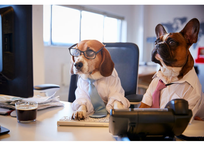 Companies’ Personas Can Influence Employees, Too