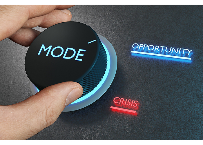 Crises Help Some Companies Flourish